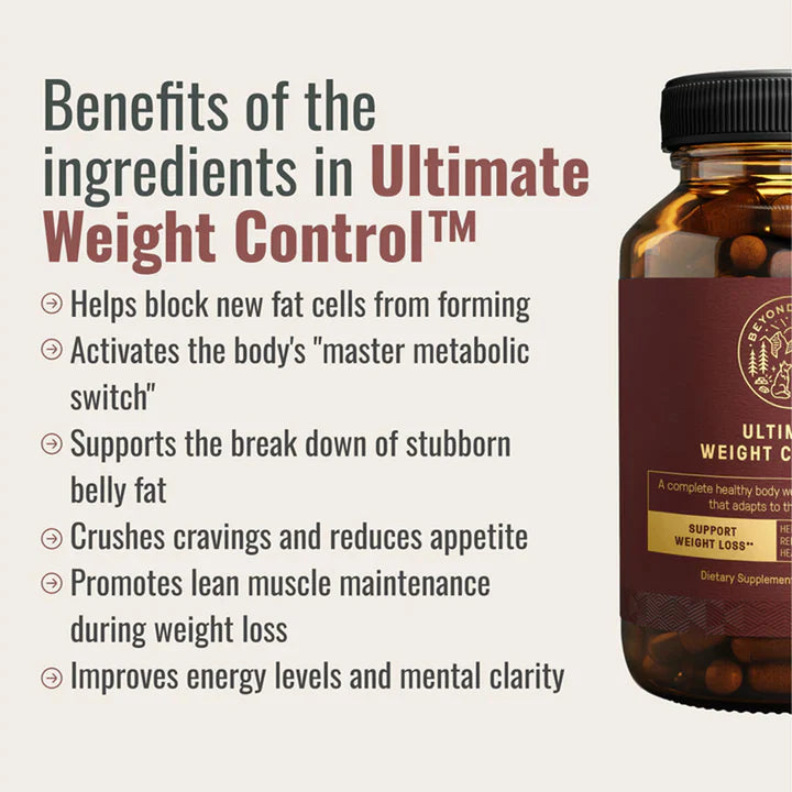 The Dream Body Stack™